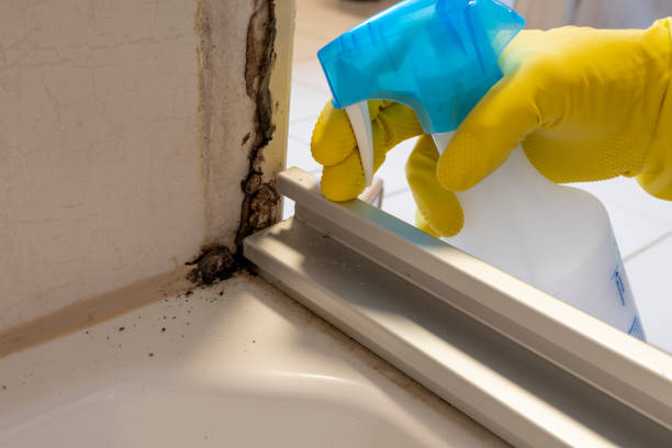 Best Mold Cleaning Services  in Wellsboro, PA
