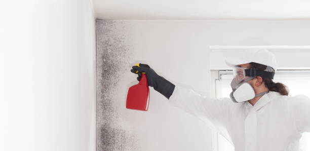Best Professional Mold Removal  in Wellsboro, PA