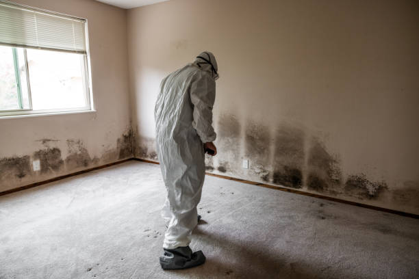 Best Crawl Space Mold Removal  in Wellsboro, PA